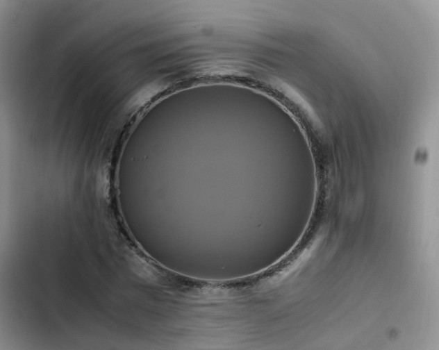 X0000102840777200808181347