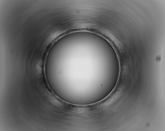 X0000102840778200808181347