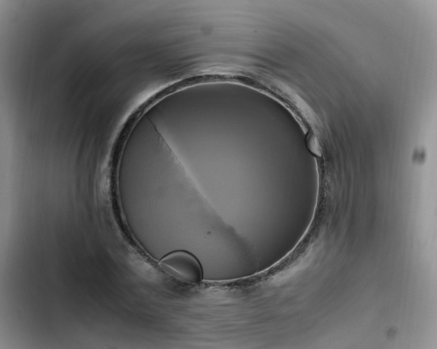 X0000102840779200808181347