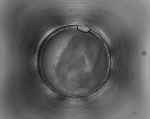 X0000102840780200808181347