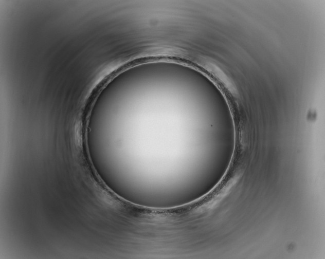 X0000102840781200808181347