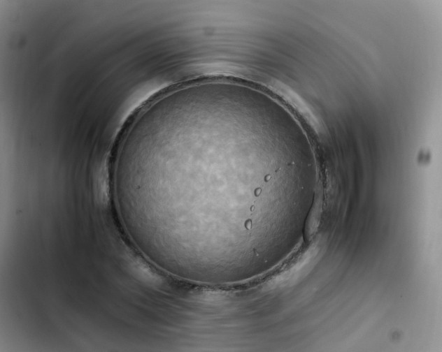 X0000102840782200808181347