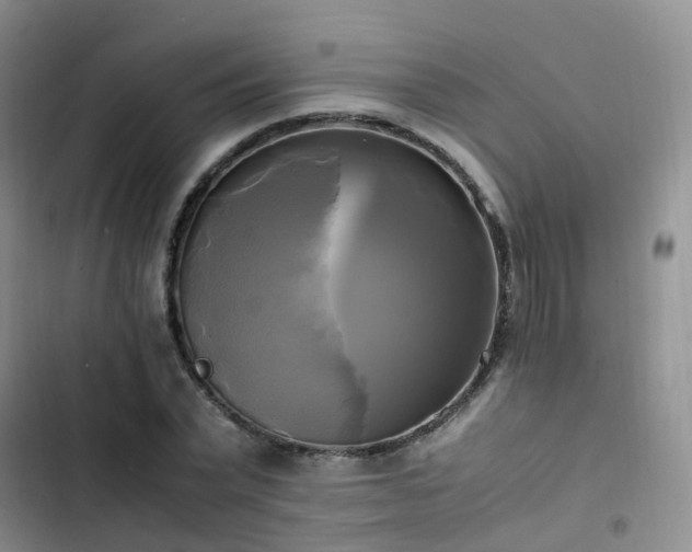 X0000102840783200808181347