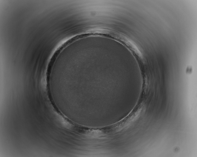 X0000102840784200808181347