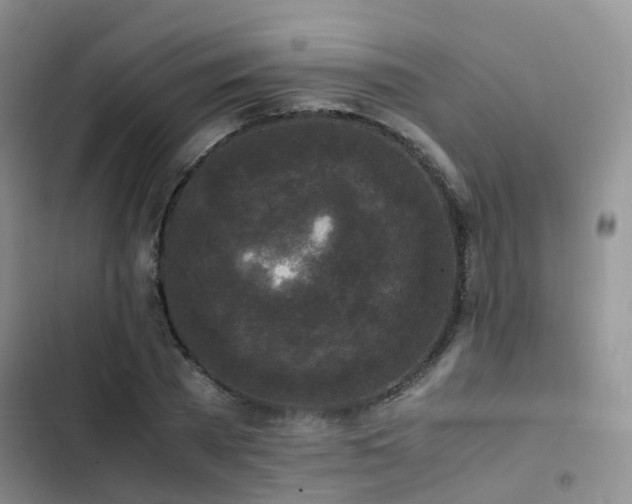 X0000102840785200808181347