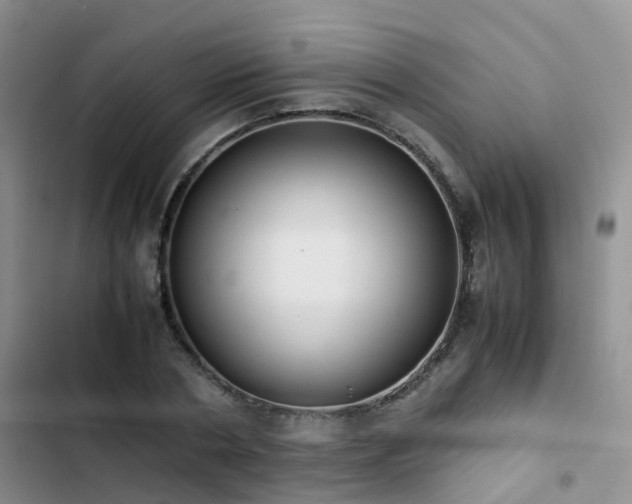 X0000102840786200808181347