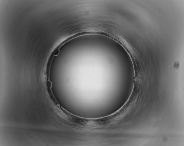 X0000102840787200808181347