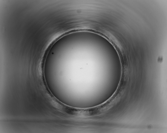 X0000102840789200808181347