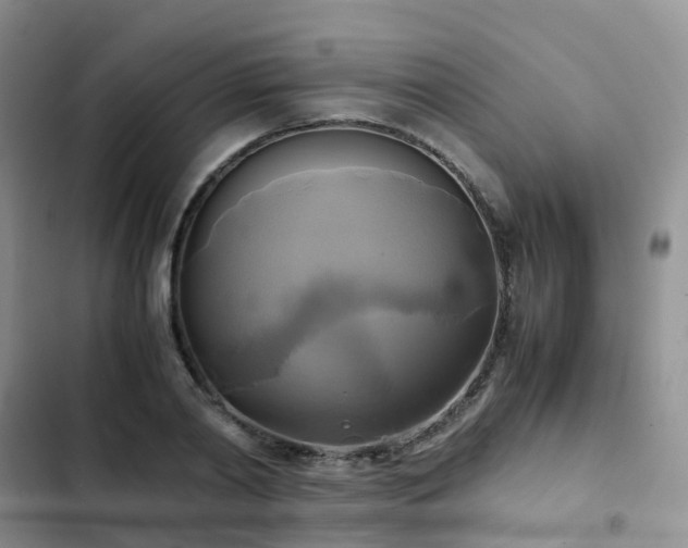 X0000102840790200808181347