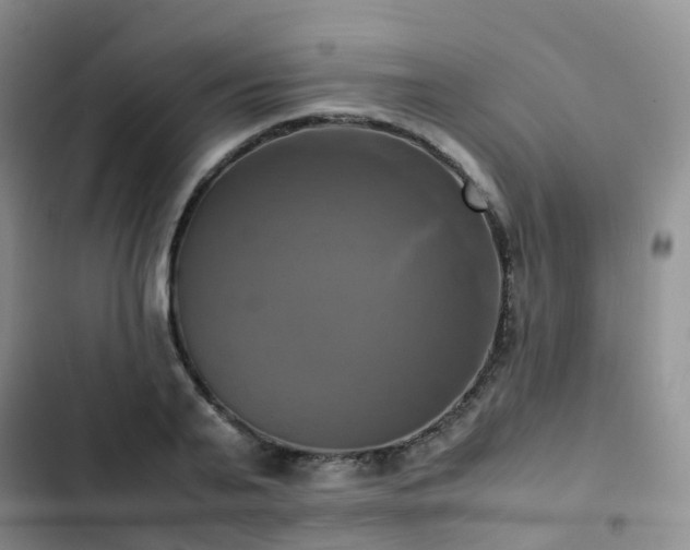 X0000102840791200808181347