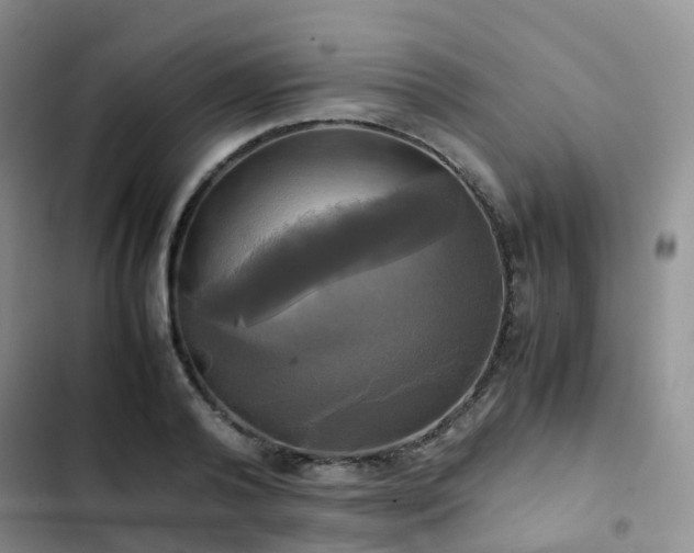 X0000102840792200808181347