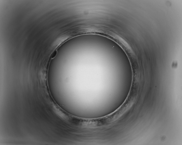 X0000102840793200808181347