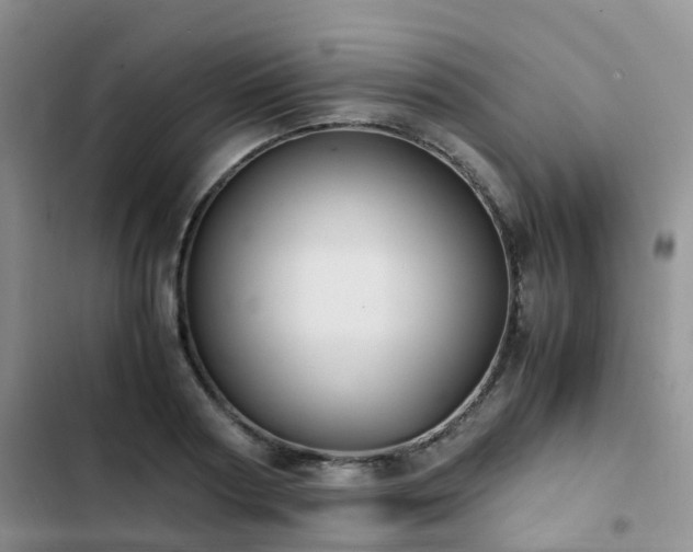 X0000102840794200808181347