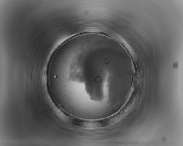 X0000102840795200808181347