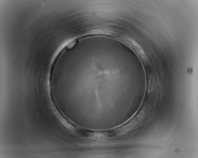 X0000102840796200808181347