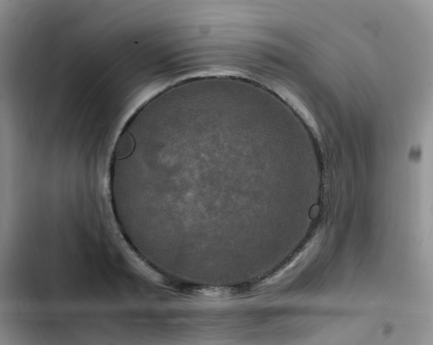 X0000102840797200808181347