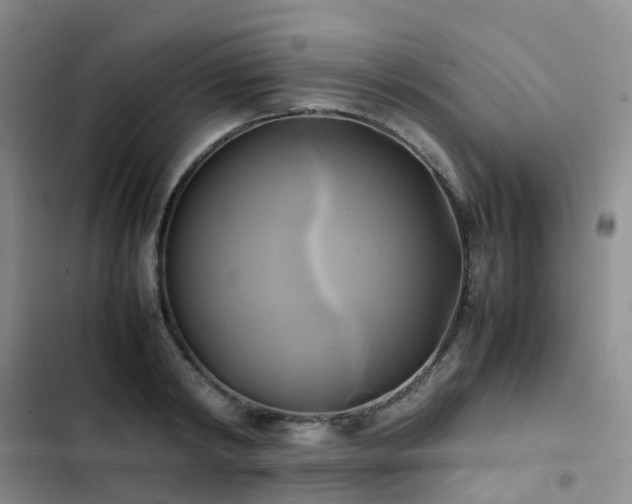 X0000102840798200808181347