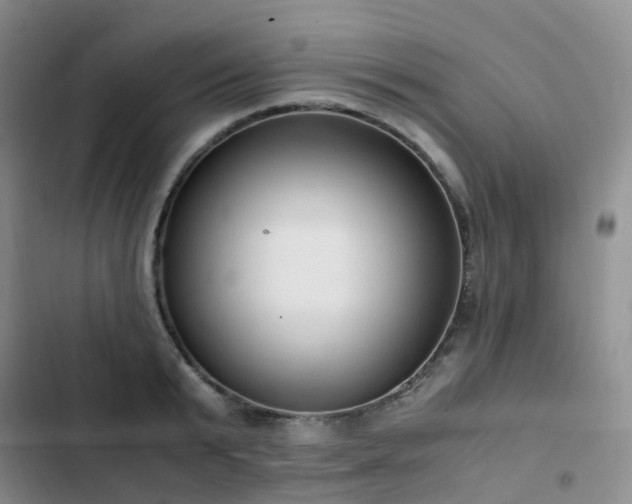 X0000102840799200808181347