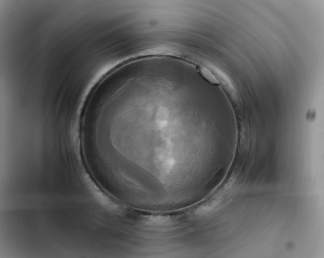 X0000102840800200808181347