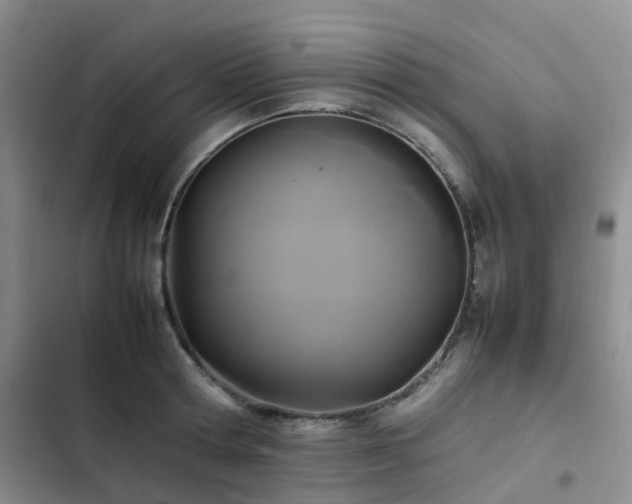 X0000102840802200808181347