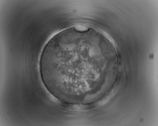 X0000102840803200808181347