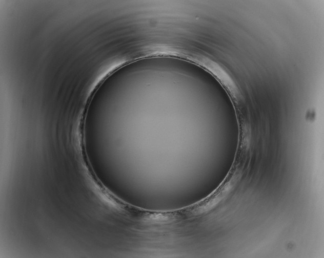 X0000102840806200808181347