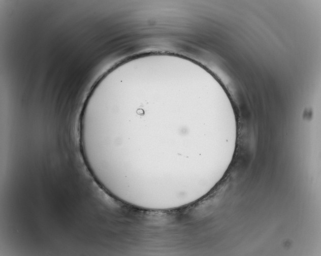 X0000102840807200808181347