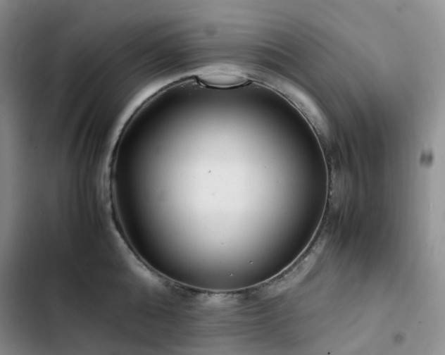 X0000102840808200808181347