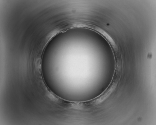 X0000102840809200808181347