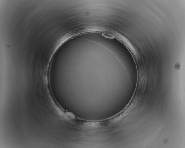 X0000102840810200808181347