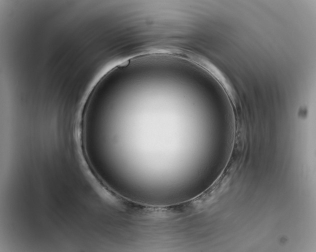 X0000102840811200808181346