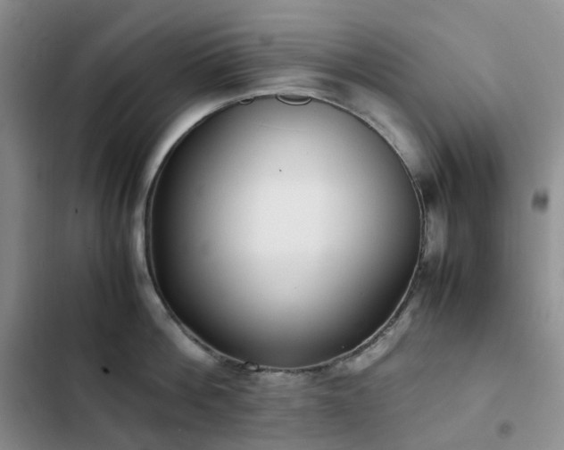 X0000102840812200808181346