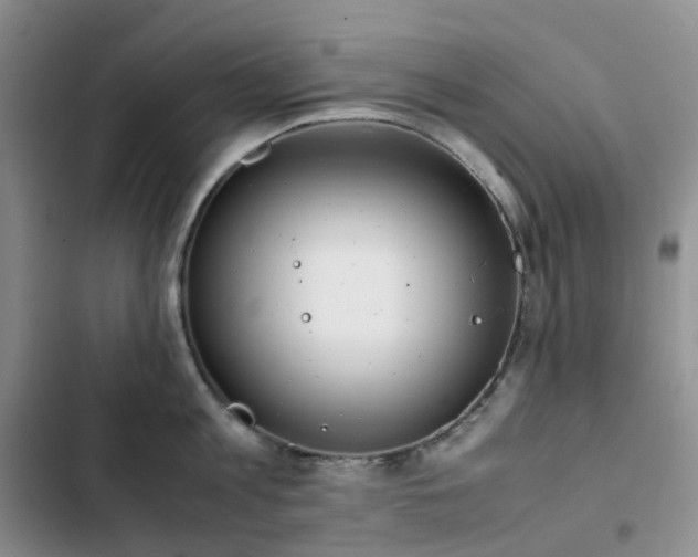 X0000102840813200808181346