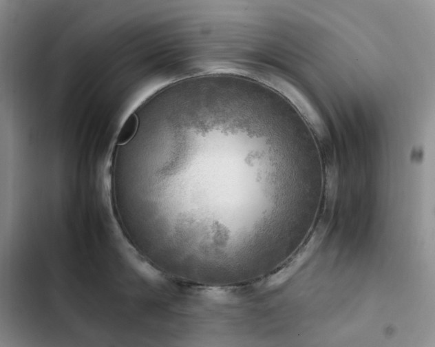 X0000102840814200808181346