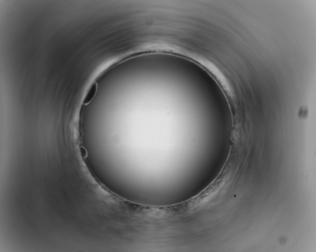 X0000102840815200808181346