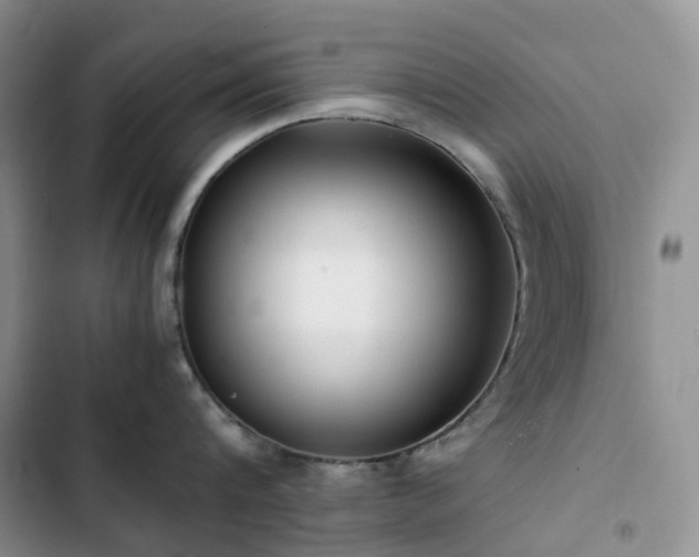 X0000102840816200808181346