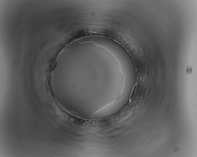 X0000102840817200808181346