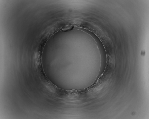 X0000102840818200808181346