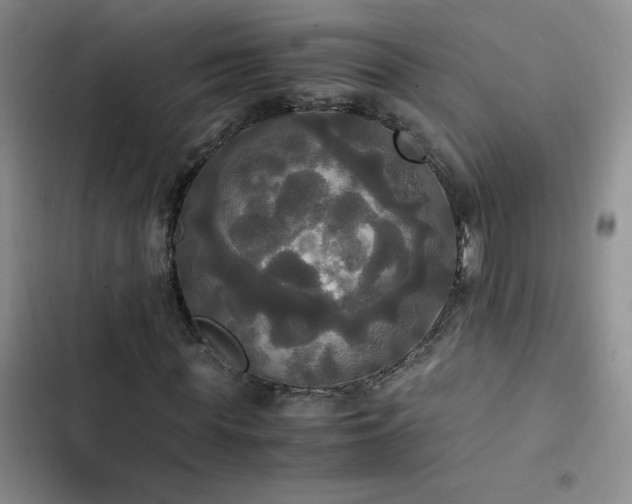 X0000102840819200808181346