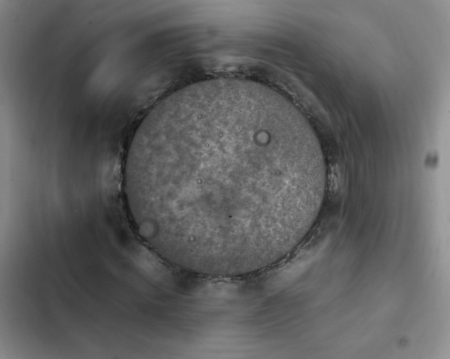 X0000102840820200808181346