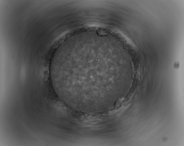 X0000102840821200808181346