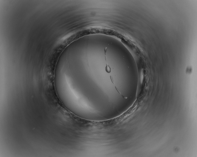 X0000102840822200808181346