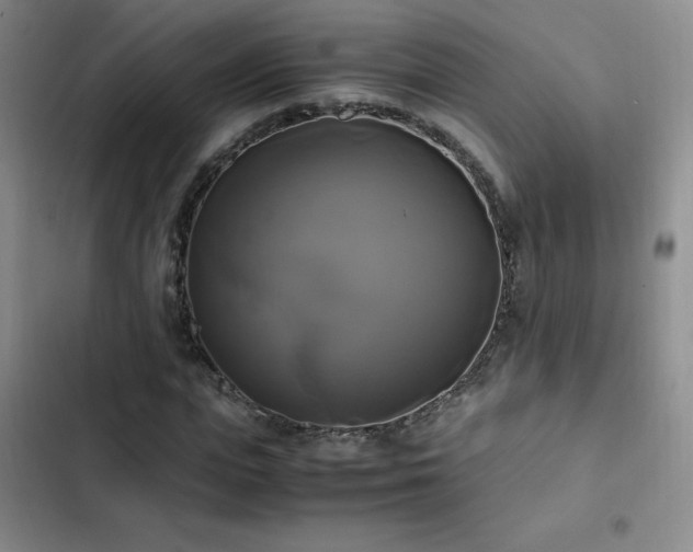 X0000102840823200808181346