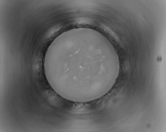 X0000102840824200808181346