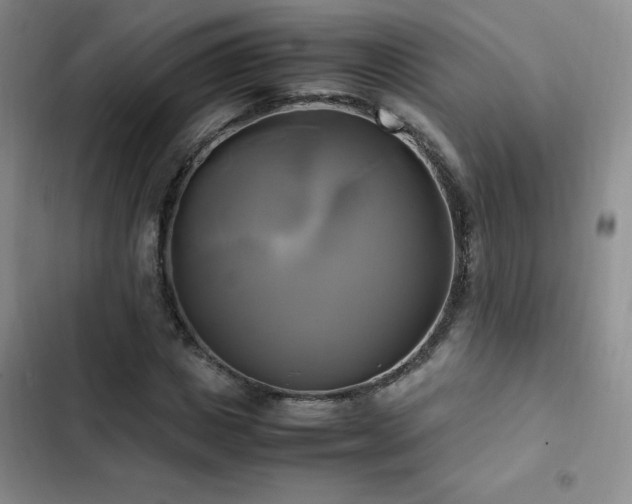 X0000102840825200808181346