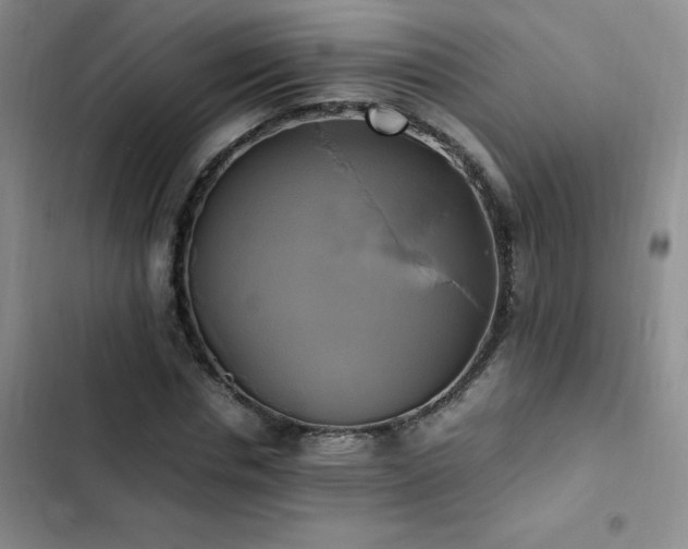 X0000102840826200808181346