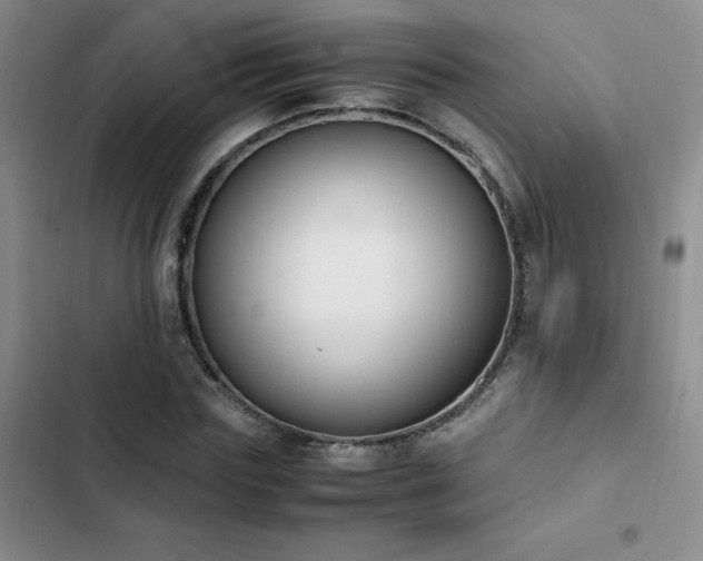 X0000102840827200808181346