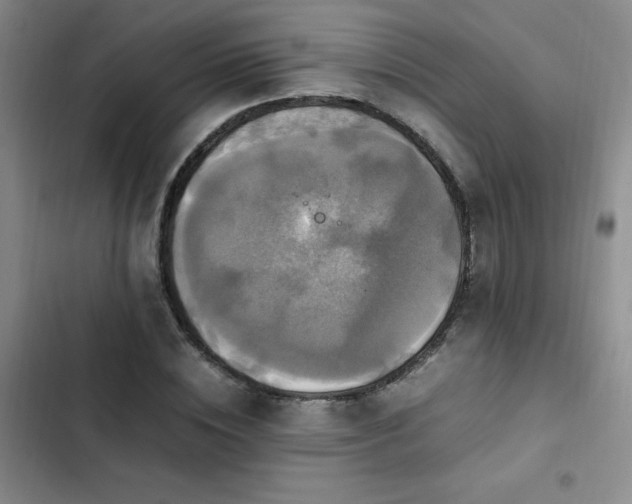 X0000102840828200808181346