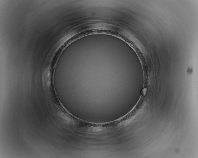 X0000102840829200808181346