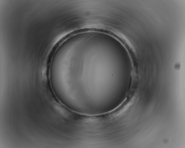 X0000102840830200808181346